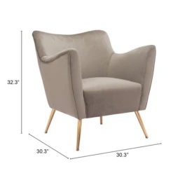 Camelia Accent Chair -Best Furniture Decoration Shop webimage 013998913 DIM